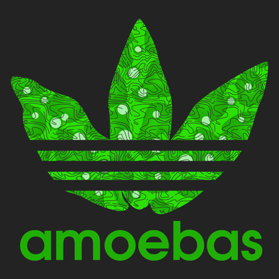 Amoebas (not adidas)