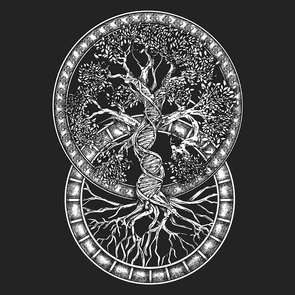 Double Helix Tree Of Life