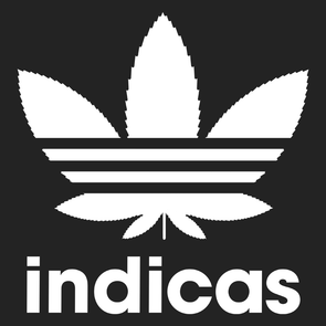 Indicas