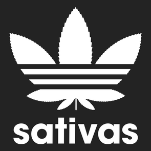 Sativas