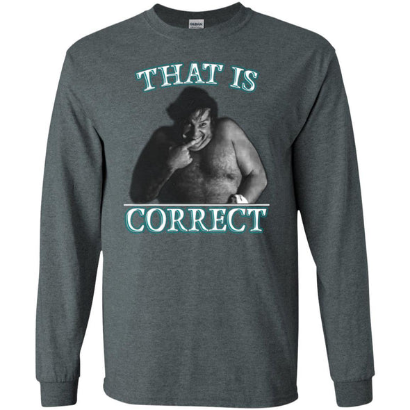 That Is Correct Heavy Long Sleeve