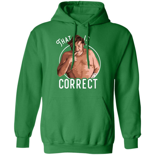 That Is Correct Hoodie