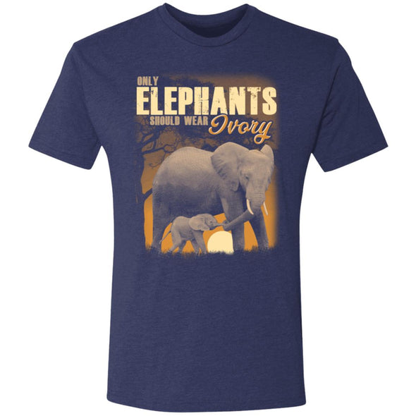 Elephant Ivory Premium Triblend Tee