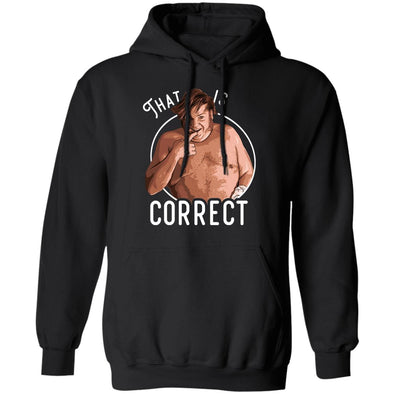 That Is Correct Hoodie