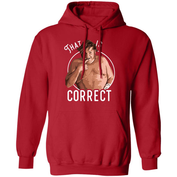 That Is Correct Hoodie