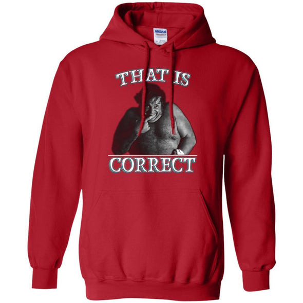 That Is Correct Hoodie