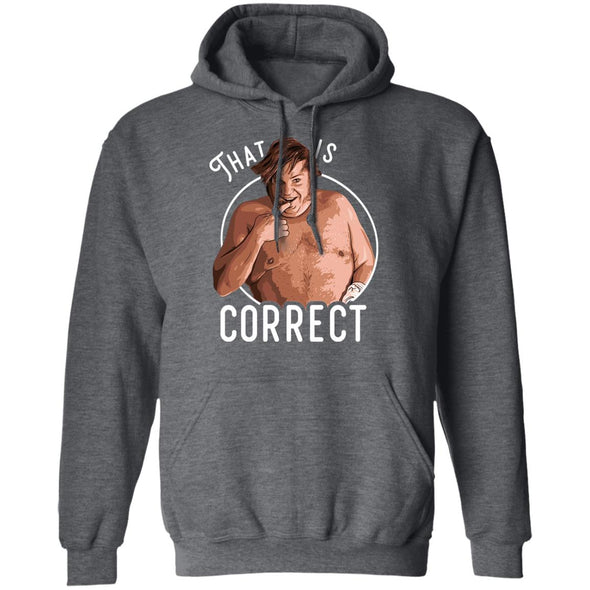 That Is Correct Hoodie