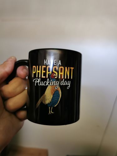 Pheasant Plucking Premium Triblend Tee